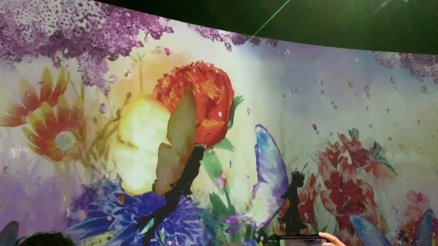 SAKURA桜花妖精　３月おでかけツアーの記事動画