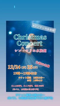 クリスマスはシン・マリホ水族館へ♬の記事動画
