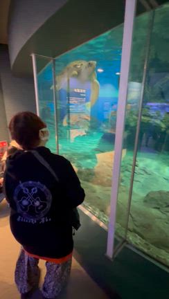 2026・4・10初めて名古屋港水族館に行けました！の記事動画