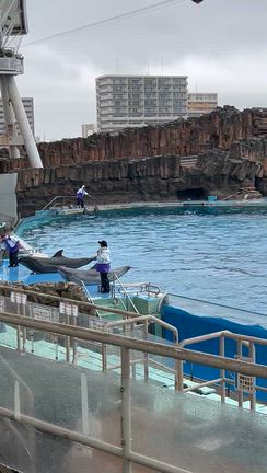 2026・4・10初めて名古屋港水族館に行けました！の記事動画