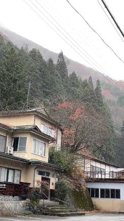 12月の記事動画