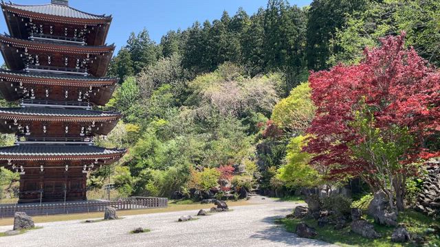 青森旅行〜ひらこ屋のラーメンと癒しの昭和大佛　青龍寺〜の記事動画