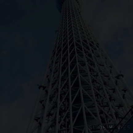 ♪さち丸の休日♪の記事動画