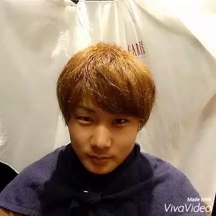 ＼カラー／の記事動画