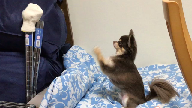 ボールペンの記事動画