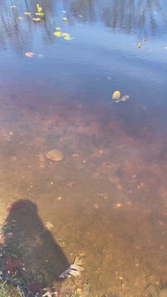 お久しぶりに、ゴルフのこと。の記事動画