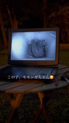 かずくんの誕生日旅行【星のや軽井沢】②の記事動画