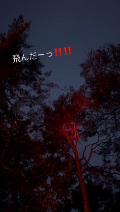 かずくんの誕生日旅行【星のや軽井沢】②の記事動画