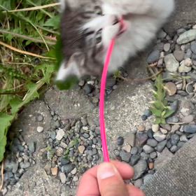 まだまだビビりだけどの画像