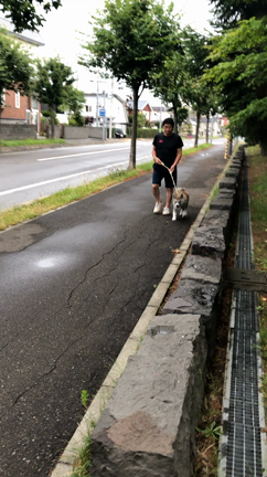 じいちゃん孝行の記事動画