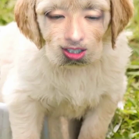 グイグイフェスティバル❗️の画像