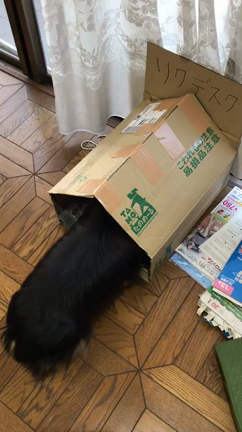 りくありがとう！の記事動画