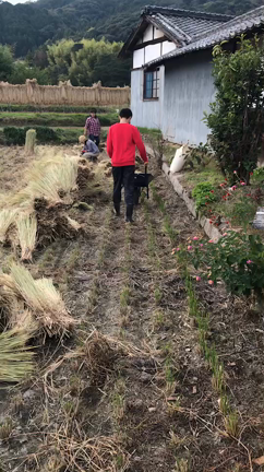 番外編を少しご紹介♪の記事動画