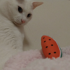 も〜の画像