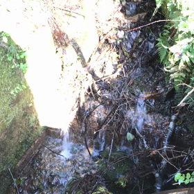 湧き水の画像