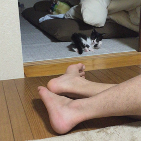 必殺！でんぐり返し！の画像