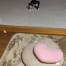 怒りの置き物の画像