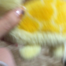 わんちゃんみたいの画像