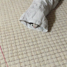 ドジっ子ハンターツムツムの画像