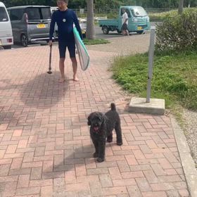 マイケル師匠のご出陣！の画像