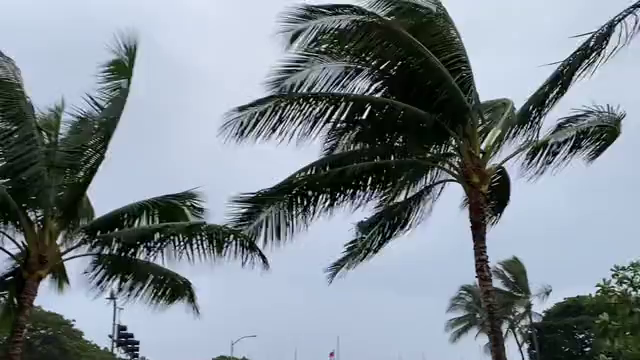 ハワイの嵐。の記事動画