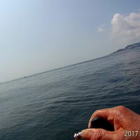 明石海峡 夏ハマチ動画 ｢あるあるネタ｣の画像