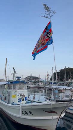 3月17日(日)の釣果の記事動画