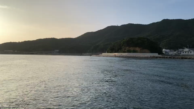 7月1日(日)の釣果の記事動画