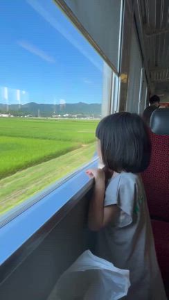 お盆週間の記事動画