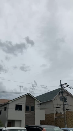 整形の通院日の記事動画