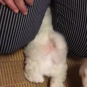 笑って下さいPart②の画像