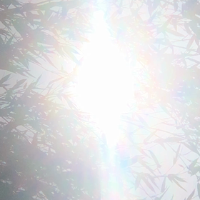 虹色の光りが降り注ぐ❤️の画像