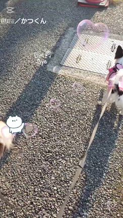世界中がお友達の記事動画