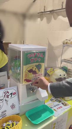 2026貝塚みずま春フェスタ （2026.3.29）の記事動画
