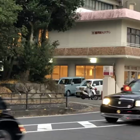 雅子様の画像