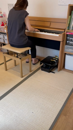えっちゃんの弾くカノンが大好きの記事動画