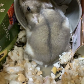 癖になってるの画像