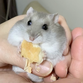 9月になりましたの画像