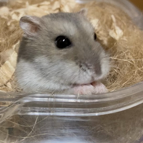 つむちゃん　ありがとう♡♡♡の画像
