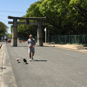 お散歩動画②の画像