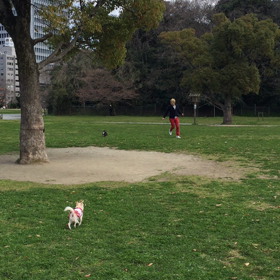 動画見れますか？の画像