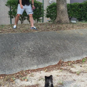 お散歩の画像
