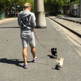 お散歩動画の画像