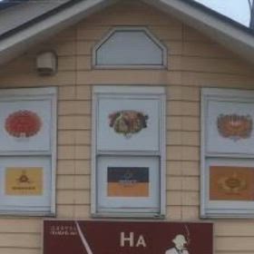 ”ロバートマッコーネルのピュアシリーズ4兄弟(^▽^)/”の画像