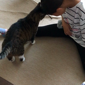 ただいま〜の 挨拶の画像
