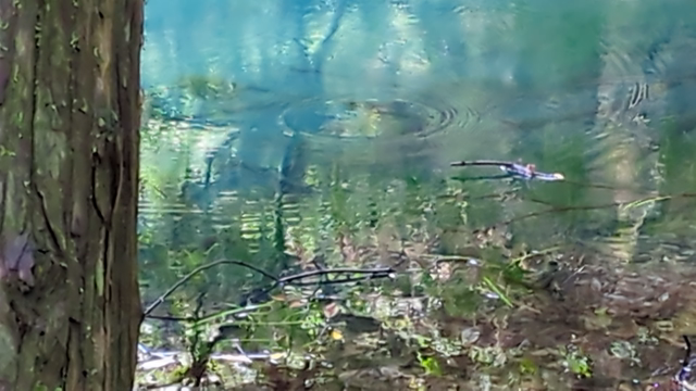 憧れの『出羽三山へ・・・』その弐　驚き❕　写真が無い・・・の記事動画