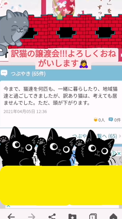 Webニュース記事になりました☆彡訳猫の譲渡会で姉妹に繋がった命♥ルナストーリーの記事動画