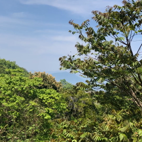空気の匂いの画像