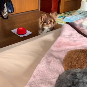 2021/06/29の画像