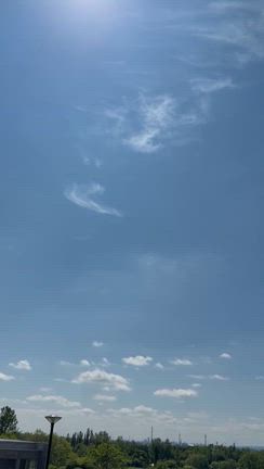 空の広さに、心と体がほぐれるの記事動画